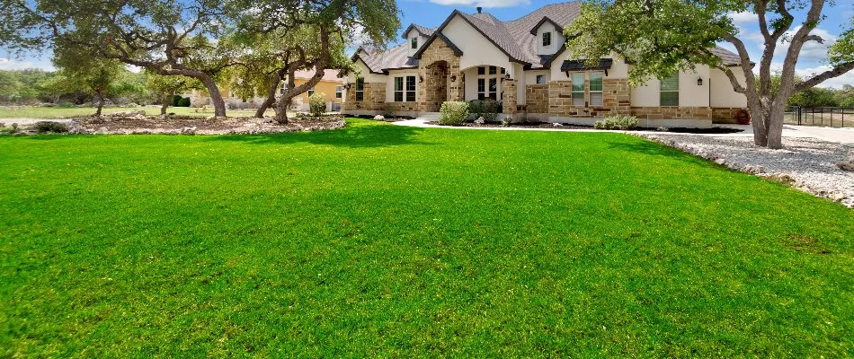 Healthy green lawn on a residential property in Hackberry, TX.