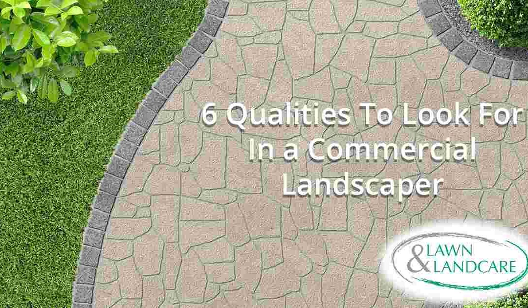 6 Qualities To Look For In a Commercial Landscaper