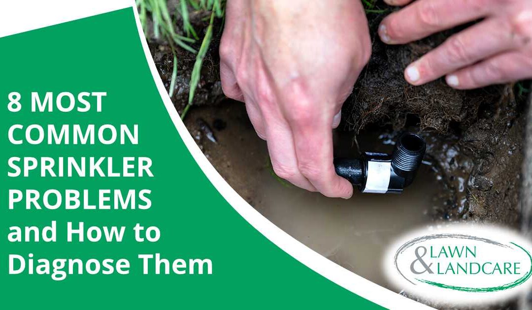 8 Most Common Sprinkler Problems and How to Diagnose Them