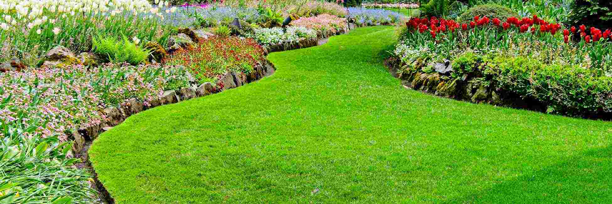 Landscape showcasing professional Lawn and Landscaping Services, highlighting expert lawn care, garden design, and outdoor maintenance to enhance curb appeal and create a well-maintained, vibrant outdoor space.