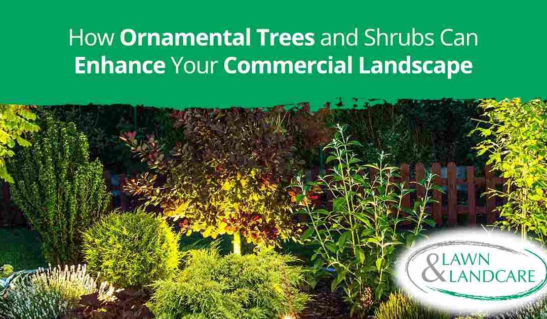 How Ornamental Trees and Shrubs Can Enhance Your Commercial Landscape