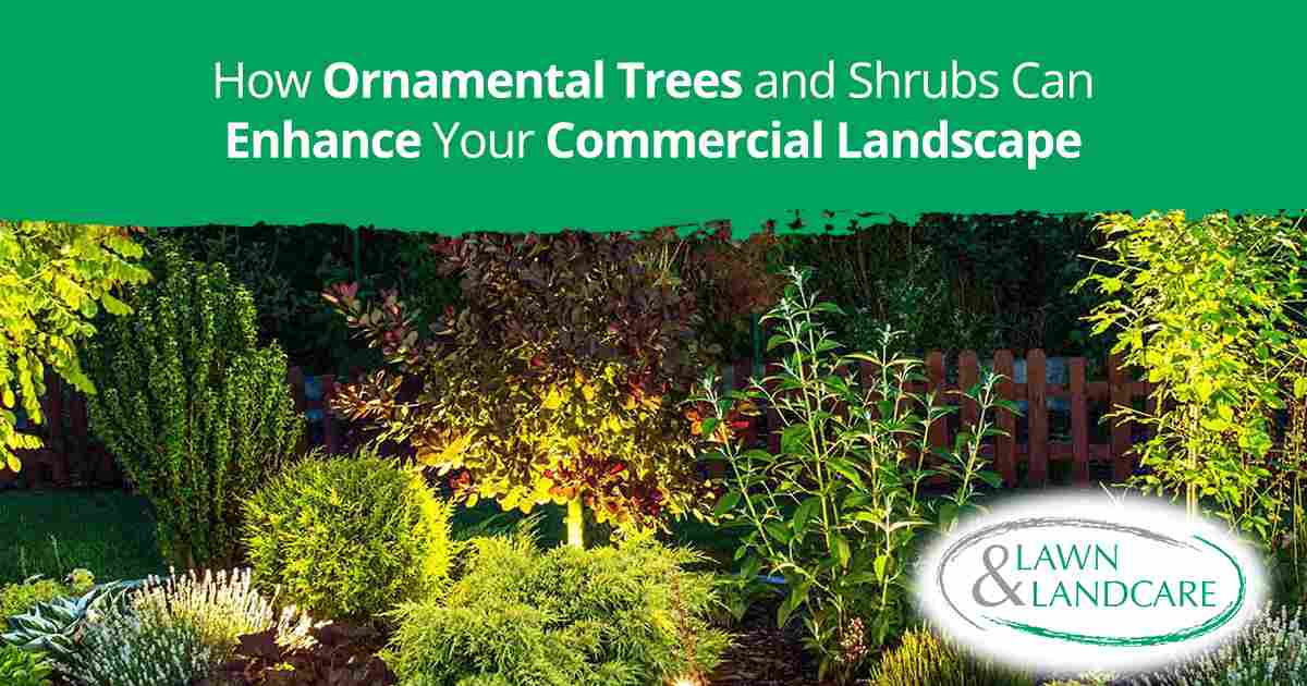 Ornamental trees and shrubs enhancing a commercial landscape, showcasing Lawn & Landcare services for improving commercial land aesthetics and value.