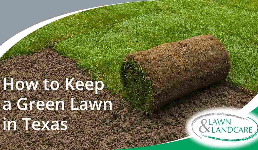 How to Keep a Green Lawn in Texas