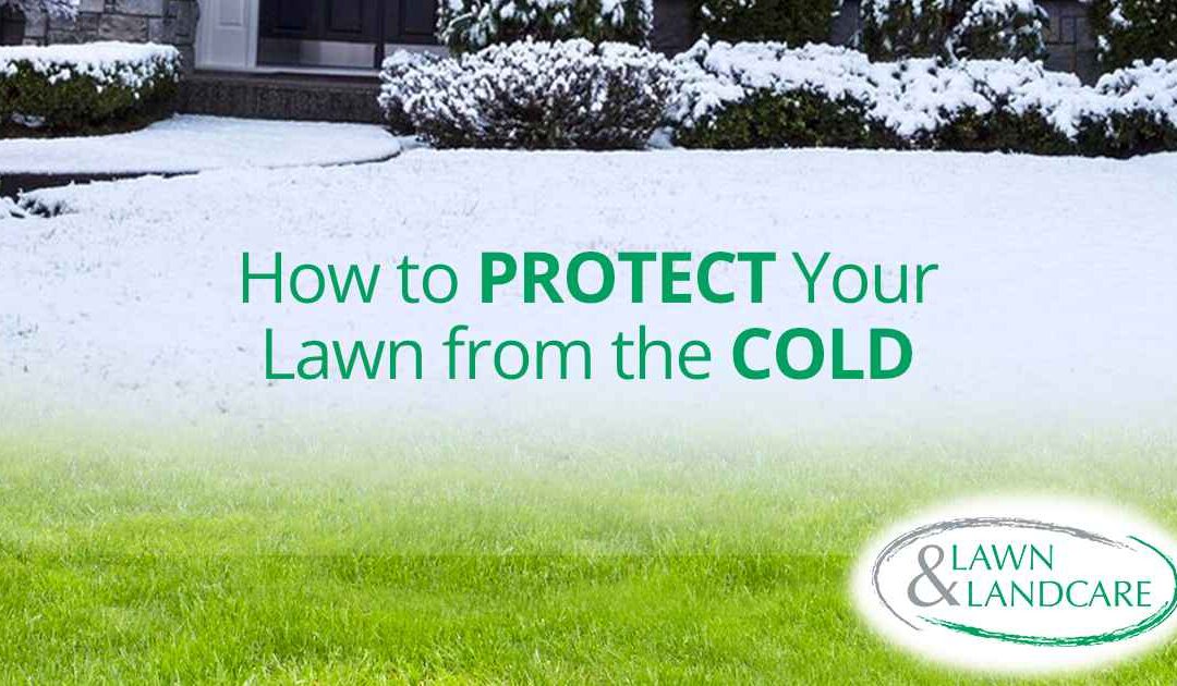 How to Protect Your Lawn from the Cold