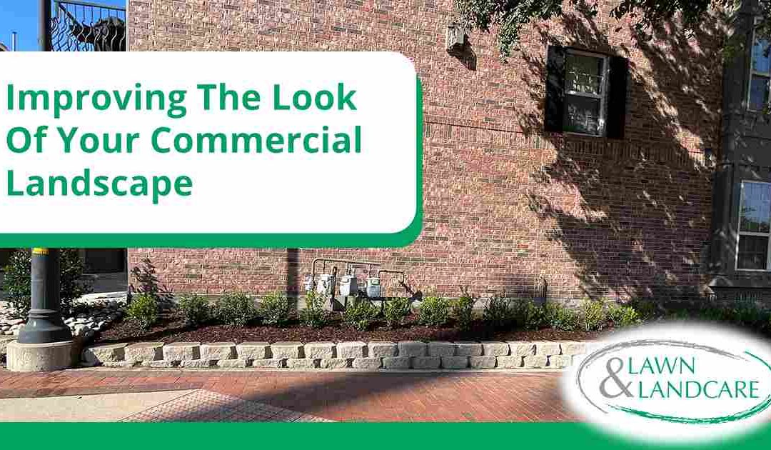 Improving The Look Of Your Commercial Landscape