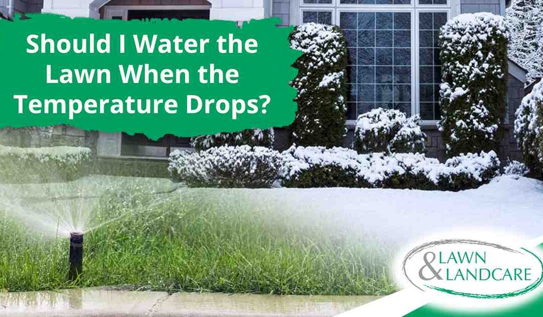 Should I Water the Lawn When the Temperature Drops?
