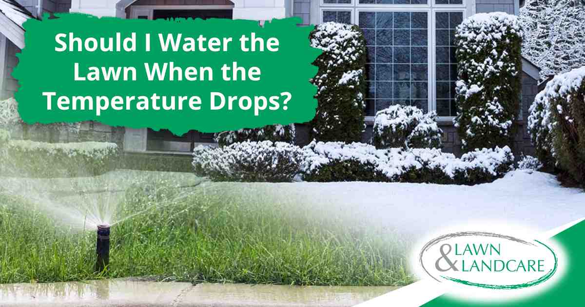 Snow-covered grass on a lawn, representing Lawn & Landcare and illustrating seasonal lawn care tips from “Should I Water the Lawn When the Temperature Drops?