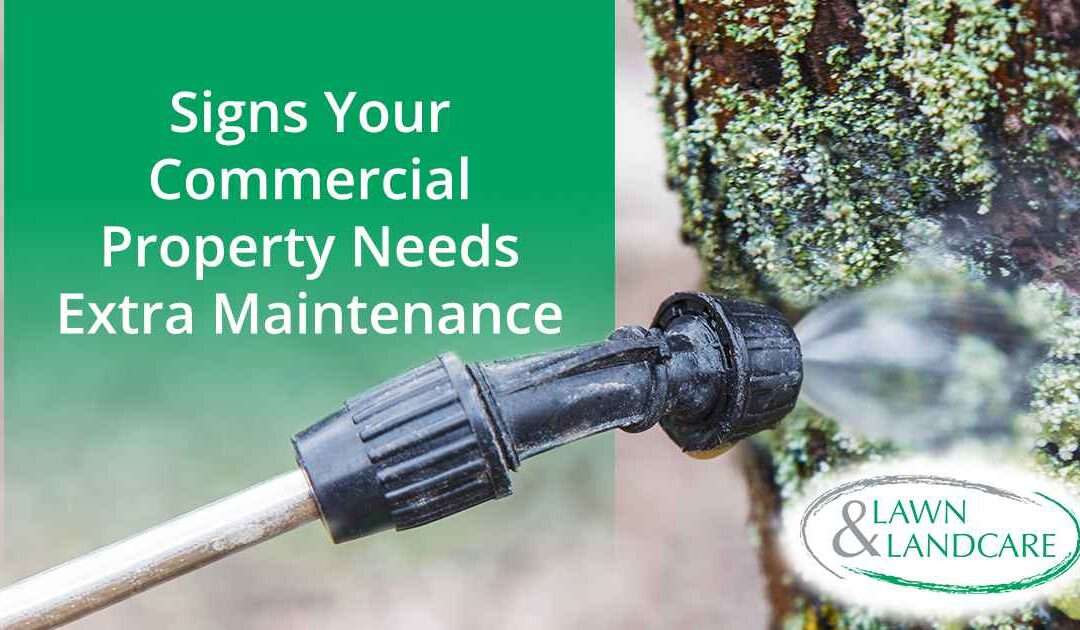 Signs Your Commercial Property Needs Extra Maintenance