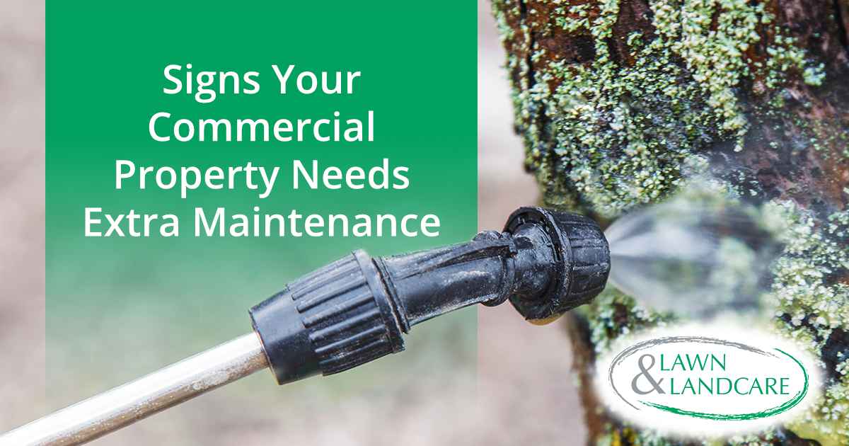 Person watering trees on a commercial property, featuring Lawn & Landcare, illustrating signs your property may need extra maintenance.