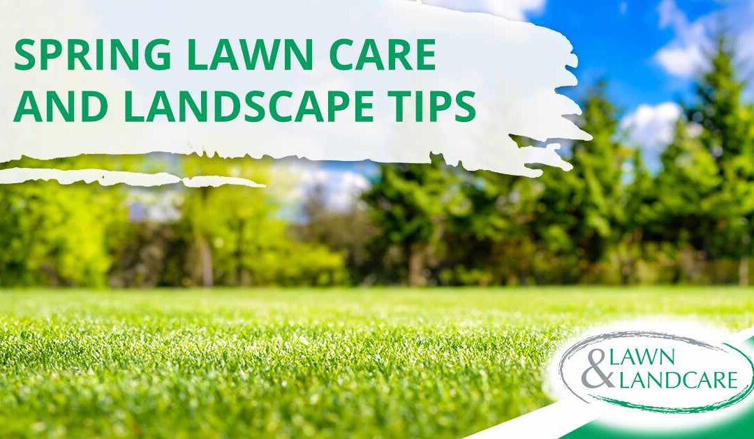 Spring Lawn Care and Landscape Tips