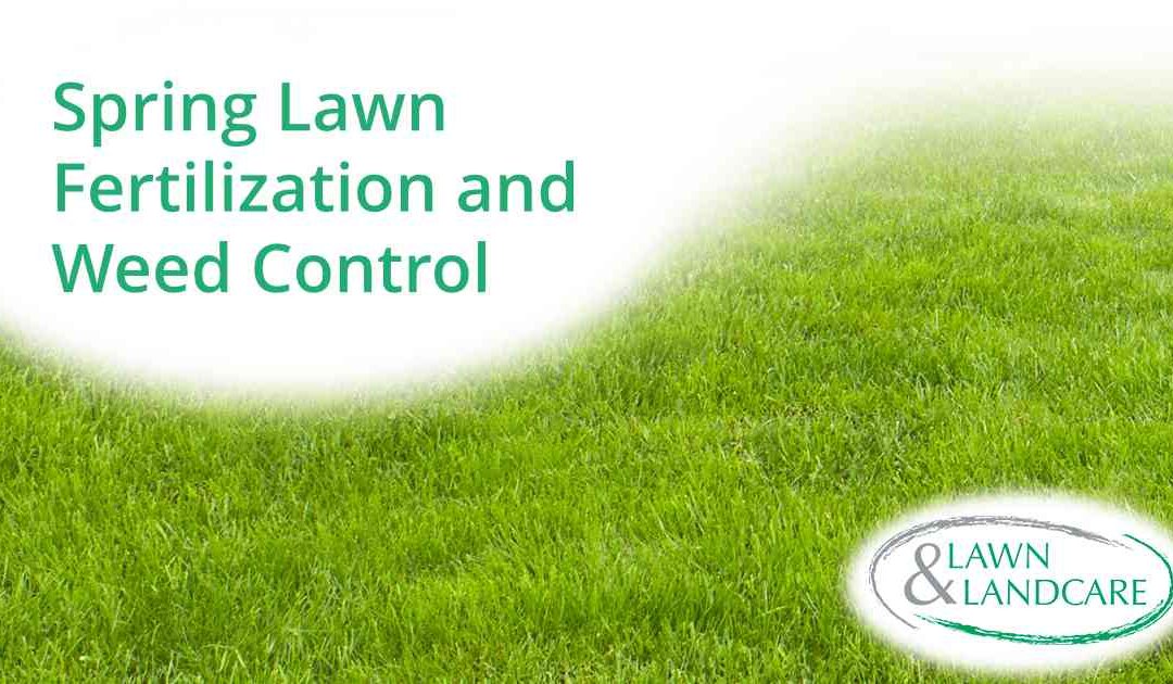 Spring Lawn Fertilization and Weed Control