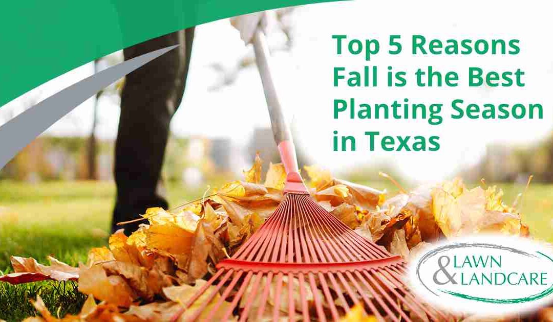 Top 5 Reasons Fall is the Best Planting Season in Texas