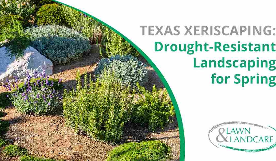 Texas Xeriscaping: Drought-Resistant Landscaping for Spring