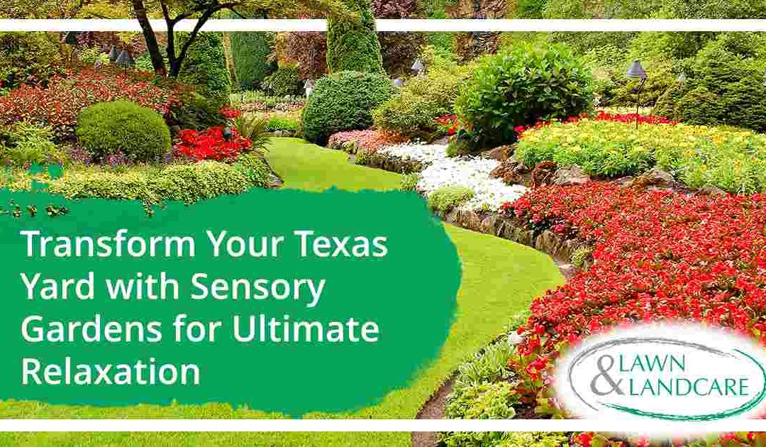 Transform Your Texas Yard with Sensory Gardens for Ultimate Relaxation