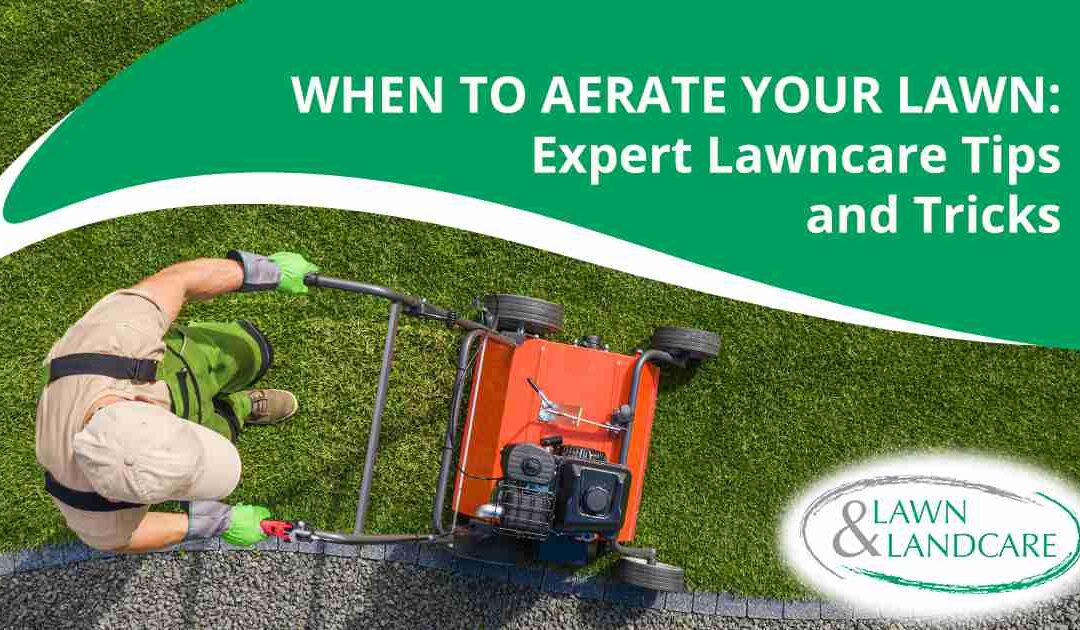 When to Aerate Your Lawn: Expert Lawncare Tips and Tricks