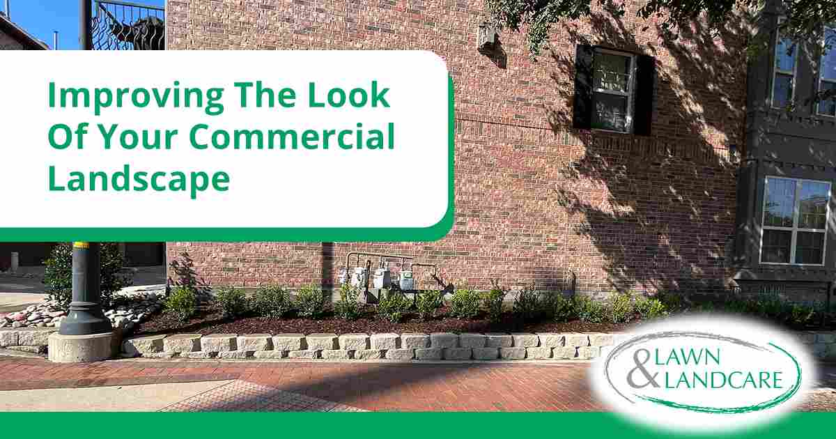 Landscaped commercial building entrance with planted beds and stone edging.