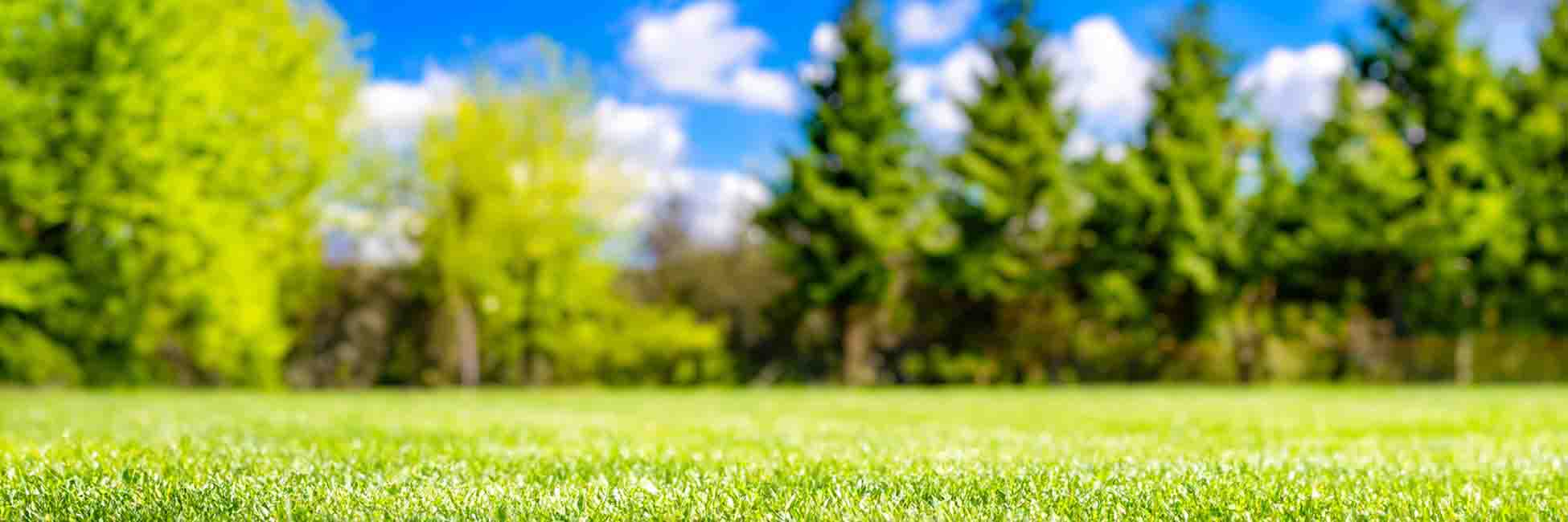 Image showcasing Our Lawn Fertilization, featuring Lawn & Landcare, highlighting Our Lawn Fertilization Schedule.