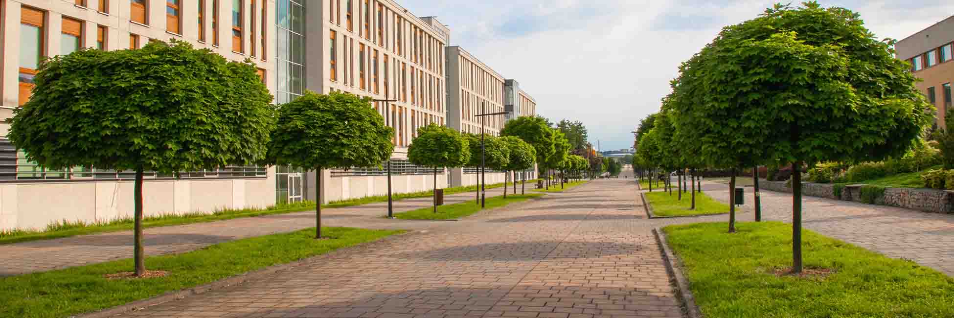 commercial-services commercial-services