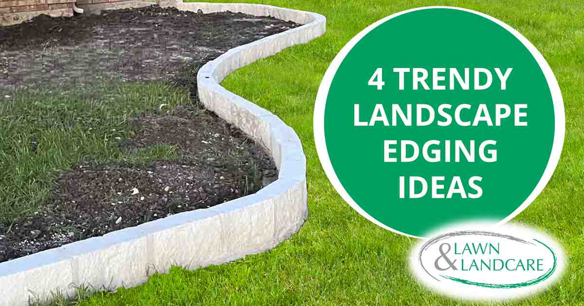 Curved concrete landscape edging separating a lawn from a mulched planting bed.