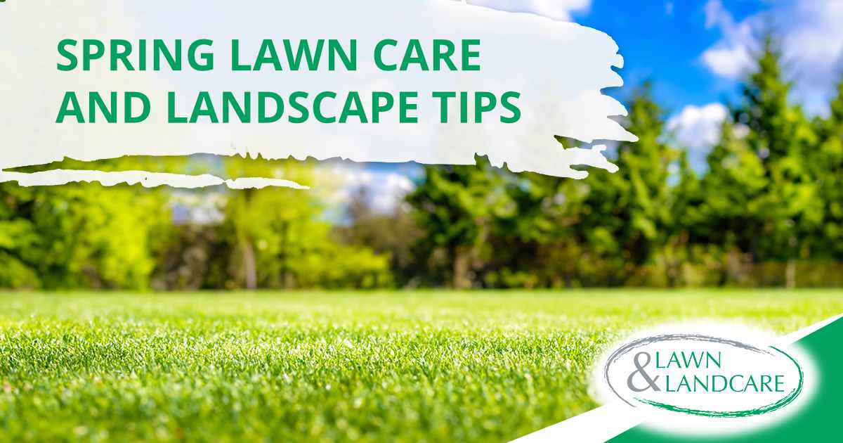 Green lawn with trees and blue sky beneath a spring lawn care graphic.
