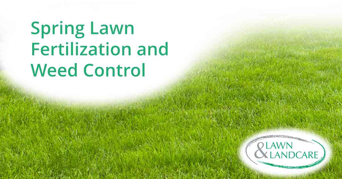 Healthy Green Lawn Close-up of dense green grass beneath a spring lawn care graphic.