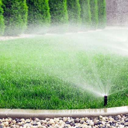 Lawn Irrigation Sprinkler Sprinkler watering a green lawn beside a landscaped garden bed.