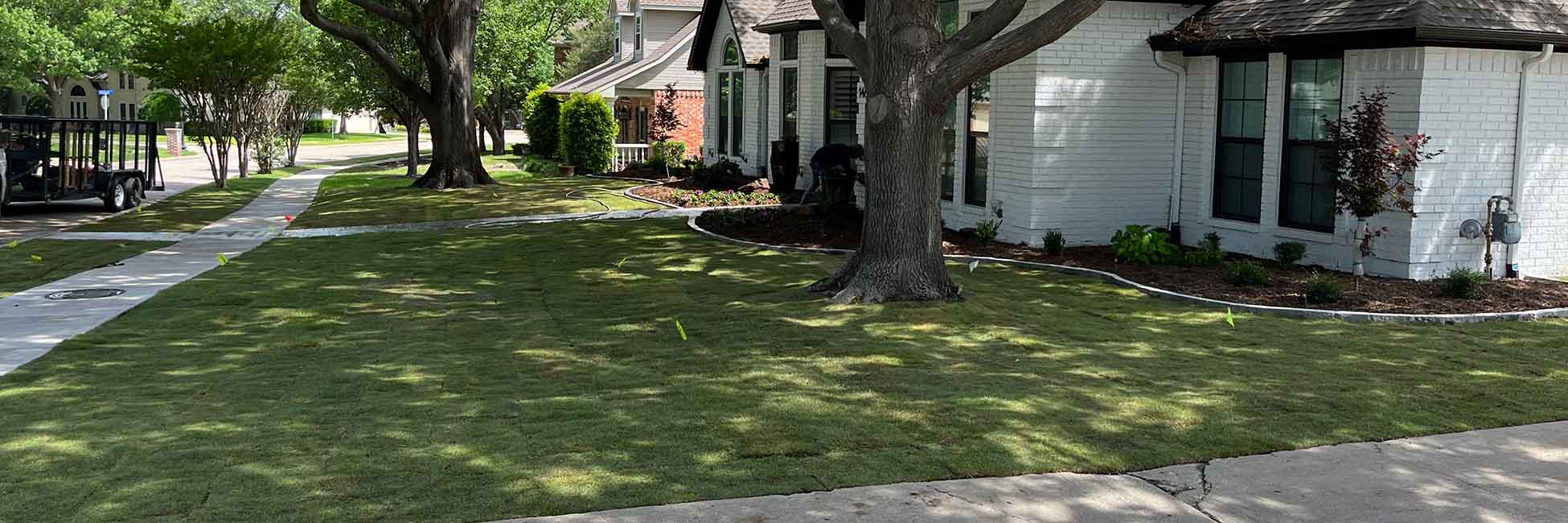 sod installation sod installation