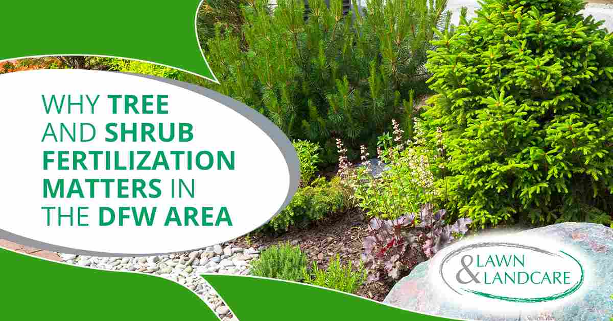Healthy trees and shrubs surrounding a well-maintained home landscape that reflects ongoing landscape care.